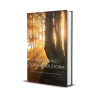 Mastering Your Inner Storm: A Guide to Emotional Self-Help for Anxiety and Stress